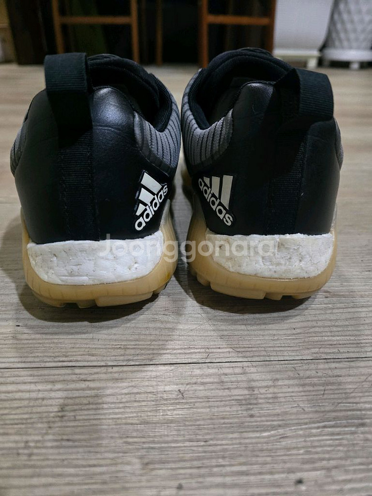 아디다스 골프 코드케이오스 스파이크리스 보아골프화 255mm--3