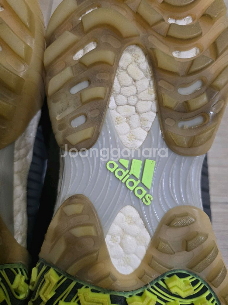 아디다스 골프 코드케이오스 스파이크리스 보아골프화 255mm--7