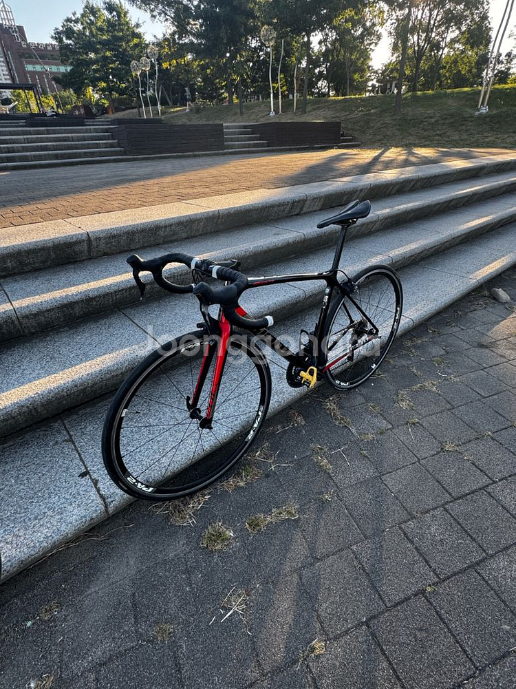 급처 울테그라 di2 자이언트 tcr 어드밴스 0 2019--0