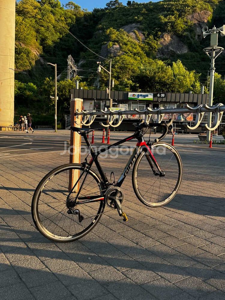 급처 울테그라 di2 자이언트 tcr 어드밴스 0 2019--1