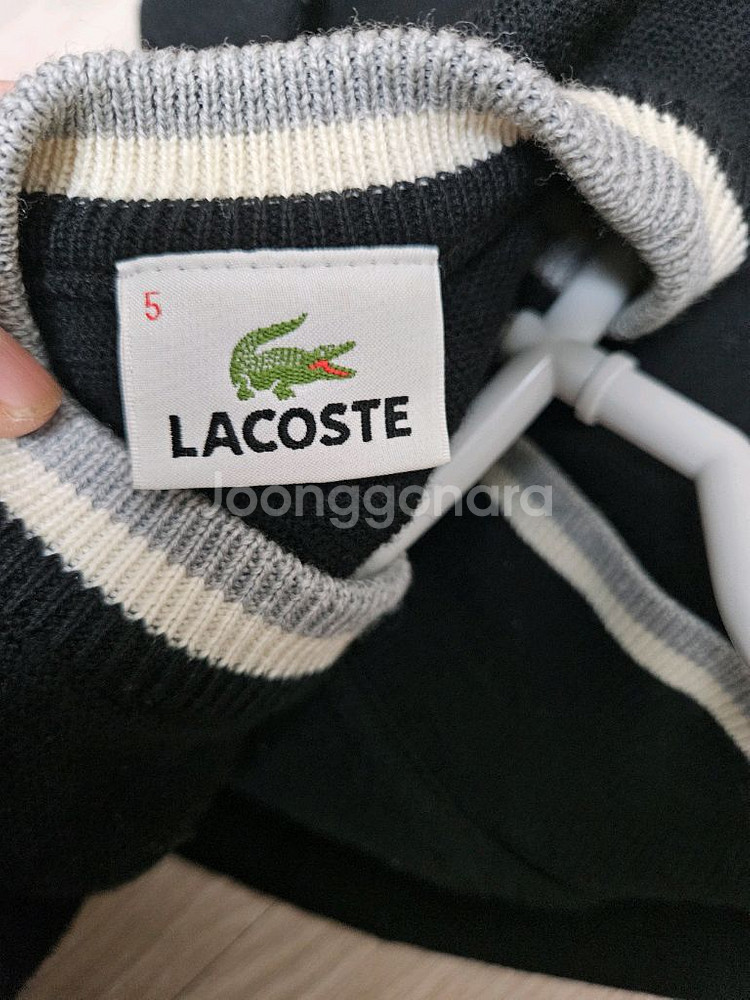 라코스테 가디건--3