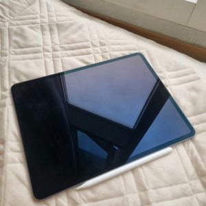 아이패드 프로 12.9 4세대 94퍼 +애플펜슬 2세대