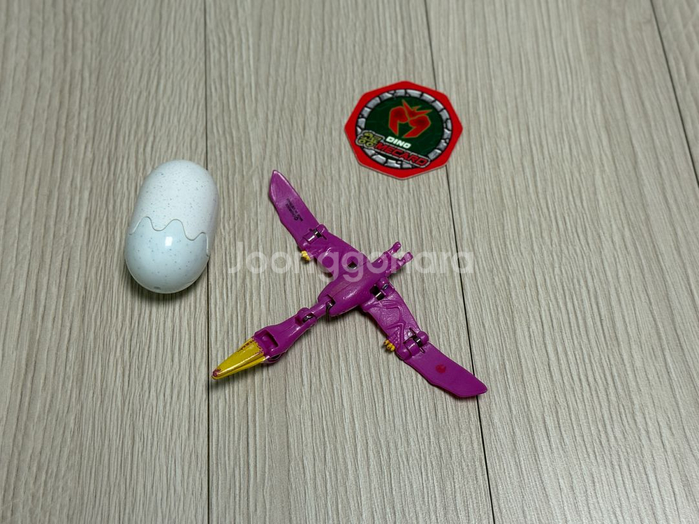 공룡메카드 프테라 (타이니소어 프테라)--1