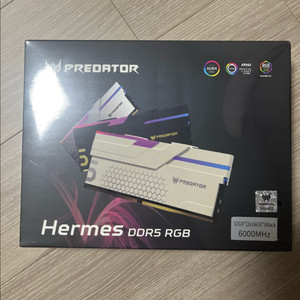 DDR5 RGB 메모리 32gb