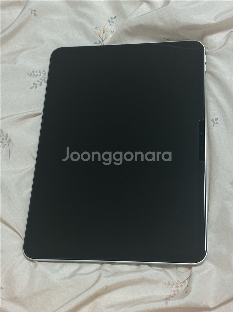 아이패드프로 m4 11 256 100%--2
