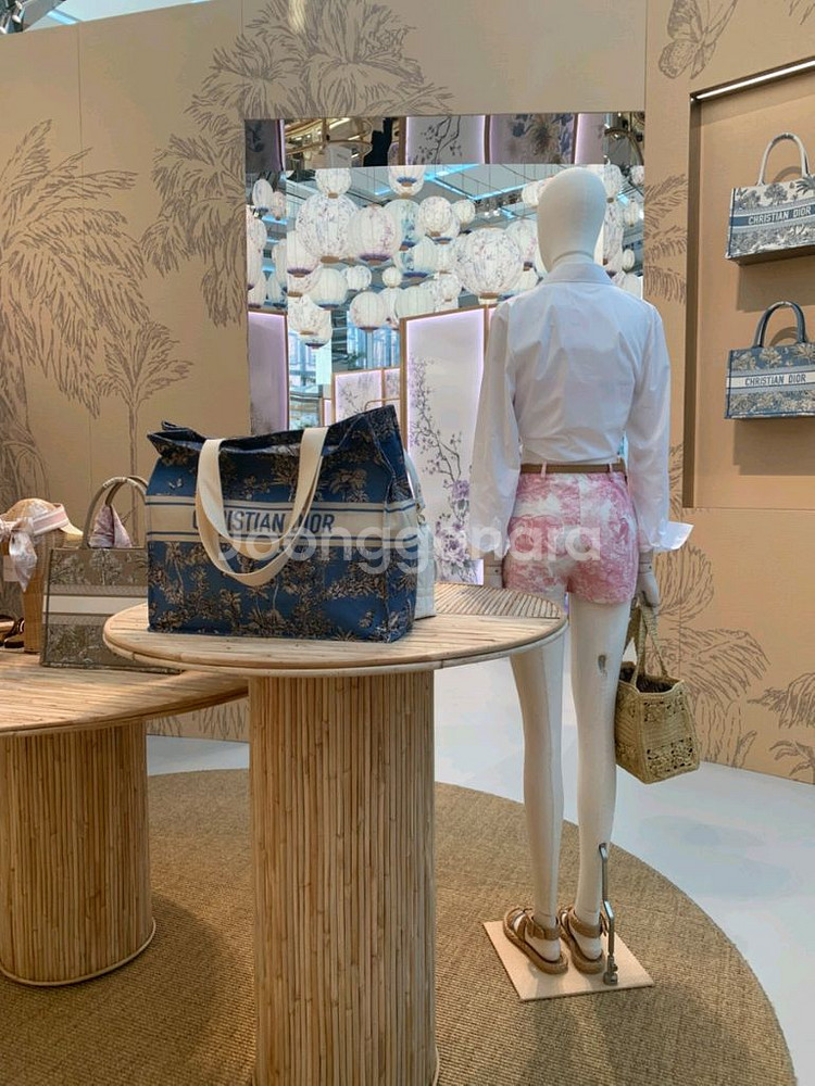 (11/11 한정세일) 디올 리비에라 2025 에코백--2