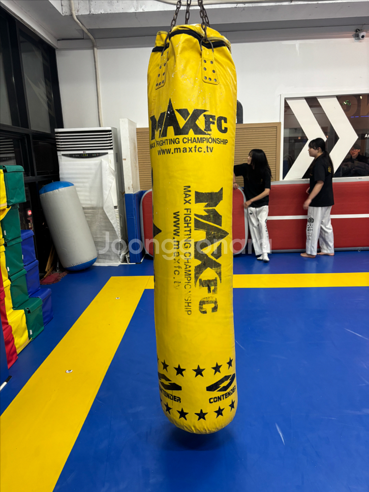 MAXFC 복싱 탄성 파워백 18kg--0