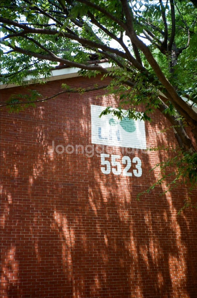 코니카 C35 af 필름카메라--1