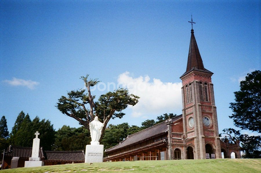 코니카 C35 af 필름카메라--4