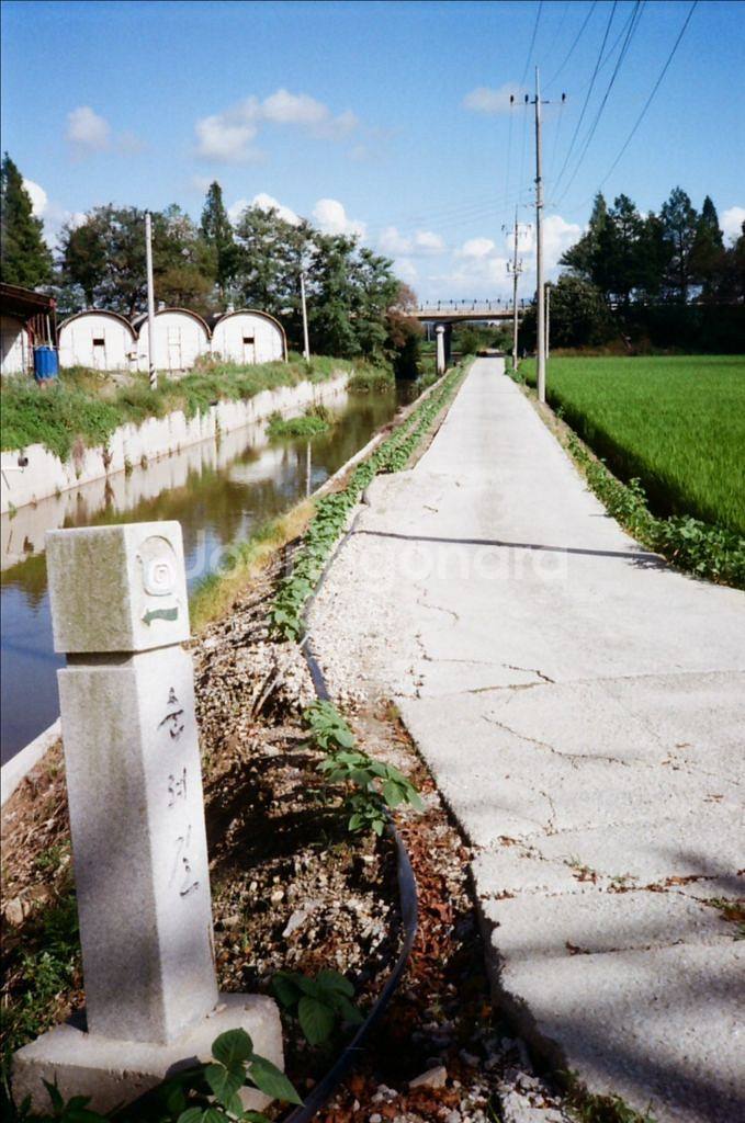 코니카 C35 af 필름카메라--3