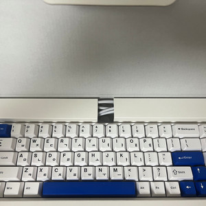 레이븐68 펀키스 정발 래피드 트리거 키보드 판매