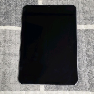 아이패드 미니 7세대 256 셀룰러 스그