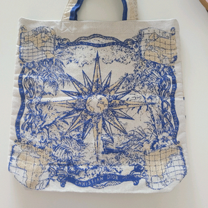 디올 드림팀 에코백