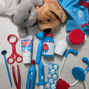 멜리사앤더그 수의사 병원놀이 장난감