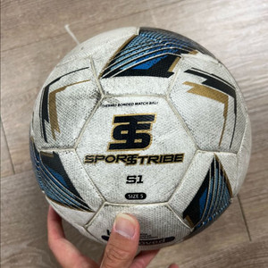 스포츠트라이브