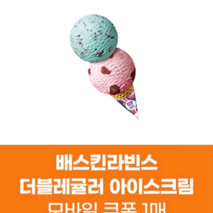 배스킨라빈스 더블레귤러 아이스크림