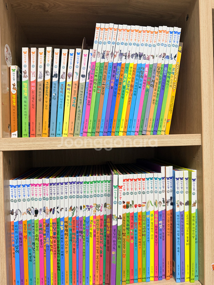 페파피그(한글+영어).허니북1,2세트.세밀화보리그림.돌잡이(한,수,영).픽처북하우스.아람북스 자연이랑세트.기타도서--3