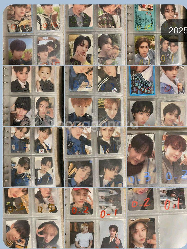 보넥도포카 보이넥스트도어--0