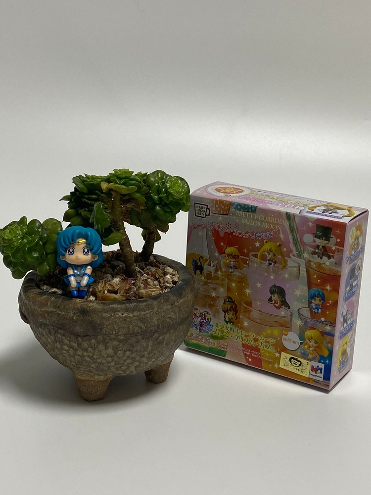 메가하우스 오챠토모 시리즈 문 프리즘 카페(컵위의 세일러문 1탄) 이미지