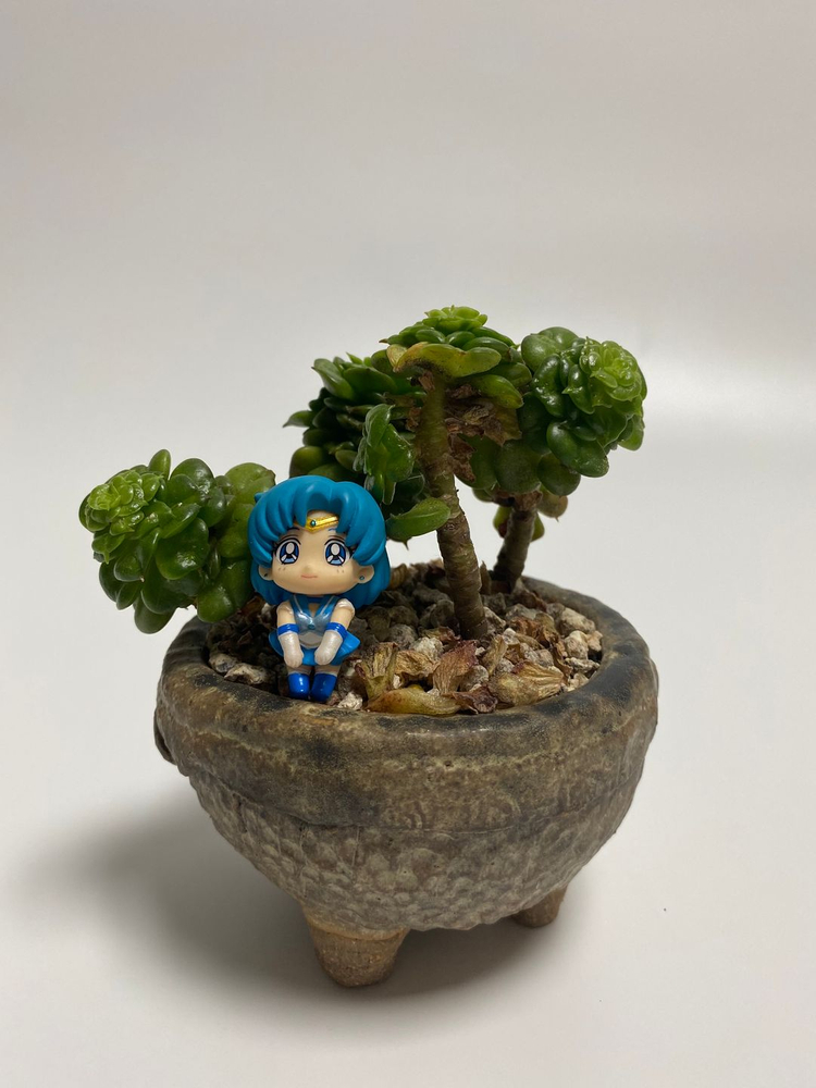 메가하우스 오챠토모 시리즈 문 프리즘 카페(컵위의 세일러문 1탄) 이미지