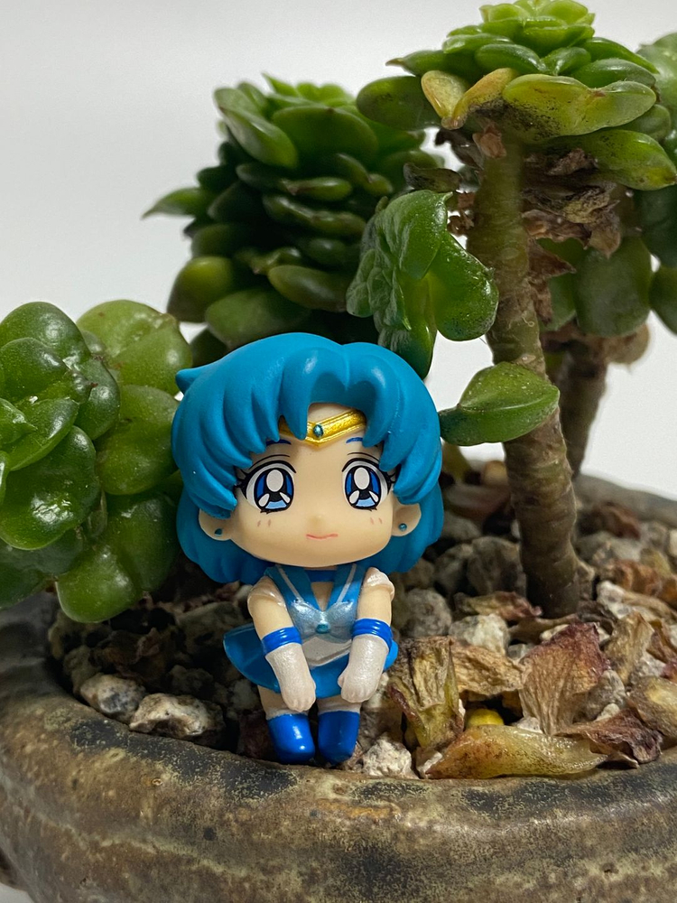 메가하우스 오챠토모 시리즈 문 프리즘 카페(컵위의 세일러문 1탄) 이미지