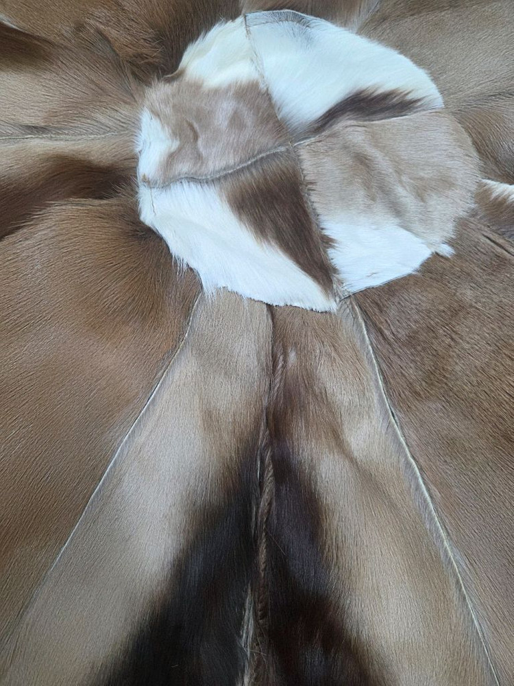 가젤의일종인 스프링복 카페트 러그--1