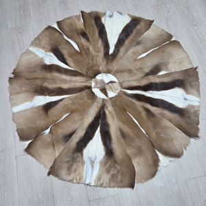 가젤의일종인 스프링복 카페트 러그