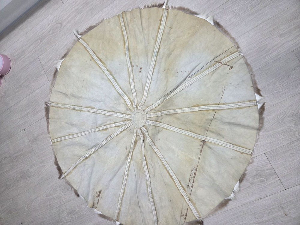 가젤의일종인 스프링복 카페트 러그--3