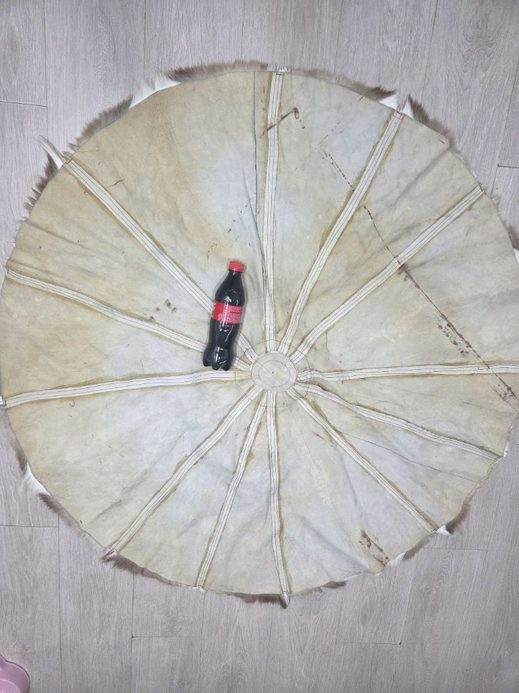 가젤의일종인 스프링복 카페트 러그--4