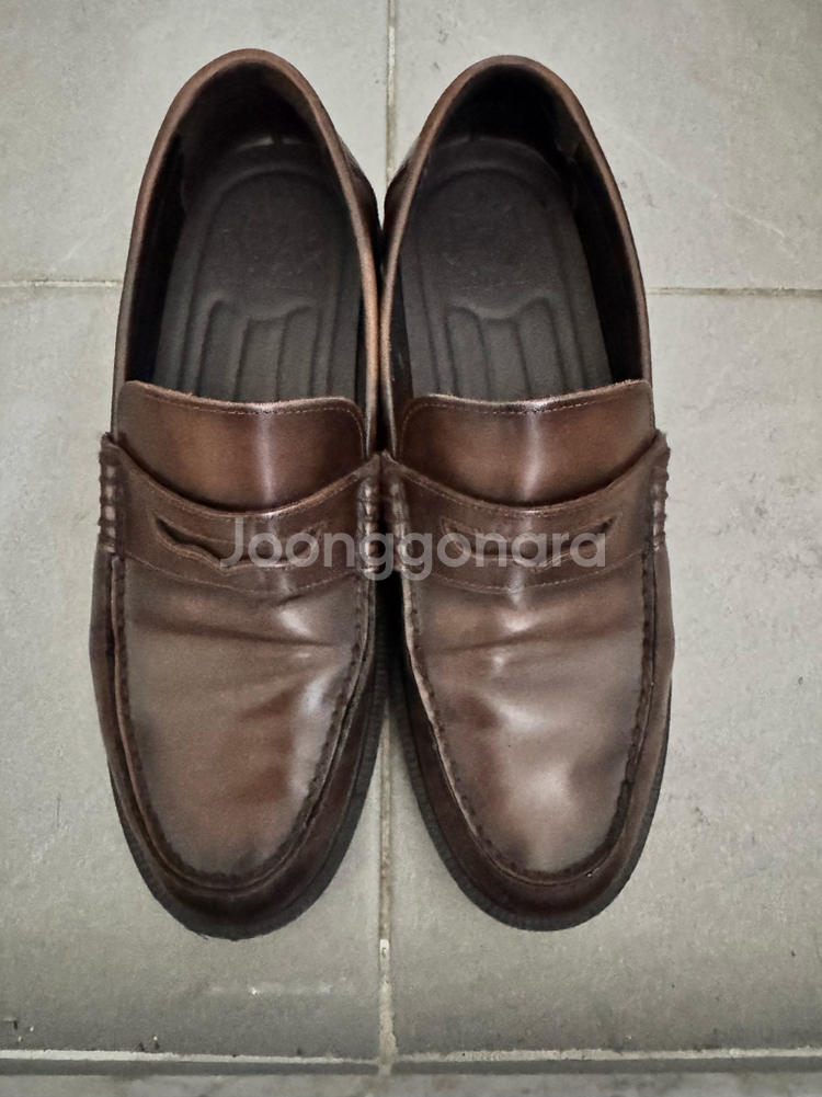 텐디 남성 로퍼 HA18001 브라운 260--0