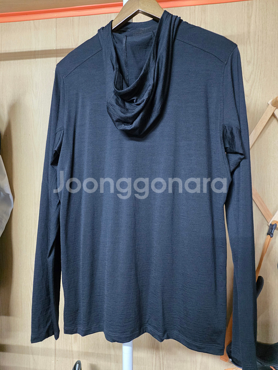 아크테릭스 아이오니아 메리노 울 후디, 사이즈 M--1