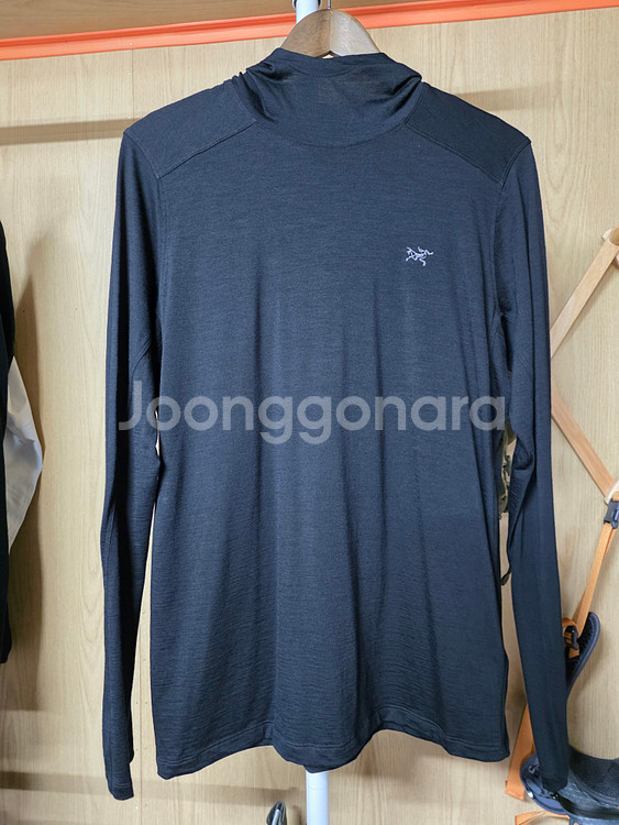 아크테릭스 아이오니아 메리노 울 후디, 사이즈 M--0