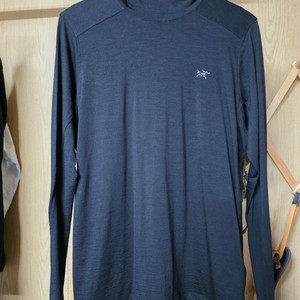 아크테릭스 아이오니아 메리노 울 후디, 사이즈 M