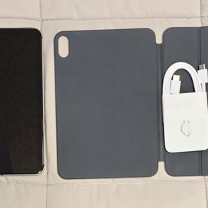 아이패드 미니 6 256GB 셀룰러