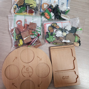 한살이 피규어 16종 세트 몬테소리 카드 라이프 사이클