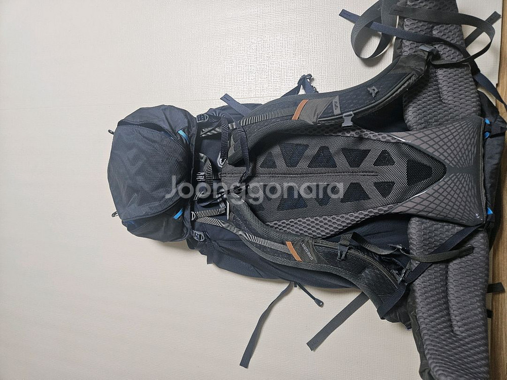 그레고리 발토로 85L--0