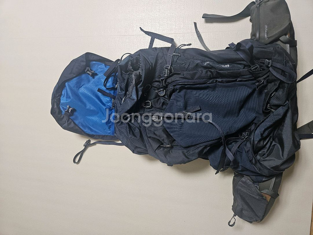 그레고리 발토로 85L--2