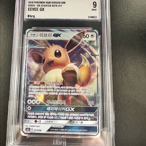 포켓몬카드 이브이 GX 등급카드판매합니다