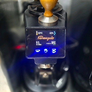 피오렌자또 E654 커피 그라인더