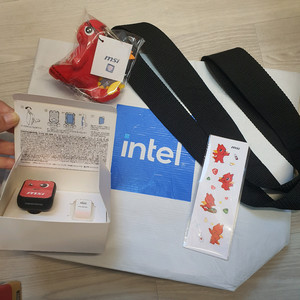 MSI 용용이 굿즈 세트 소형 인형 키링 차량용 방향제 라즈베리향 스티커 인텔 가방