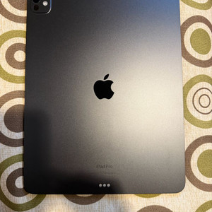 아이패드 프로 13 m4 256 애플펜슬 포함