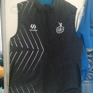 대전하나시티즌