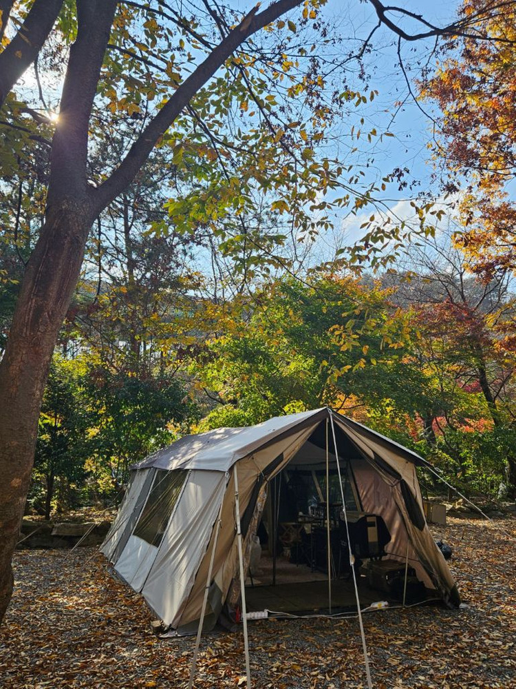 듀랑고 캐빈와이드+확장룸 버전2 + 전실/내부 전용 이너+카펫 판매 이미지