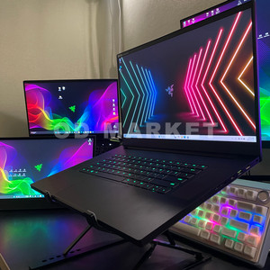 레이저 블레이드 게이밍 노트북(RTX3080,17.3인치,360hz)