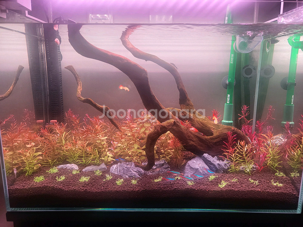 에하임 600 외부여과기 세트 및 메탈라이트 리얼등 어항용품 ㅍㅍㅍ--0