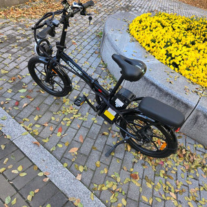 이지베이션 타우러스BS 48V 20Ah 전기자전거 2024