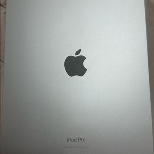 아이패드프로 m4 11인치 256 WIFI 배터리100