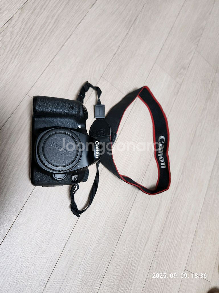 캐논 70D, 탐론 150-600mm G2, 탐론 2X 컨버터 TC-X20--5