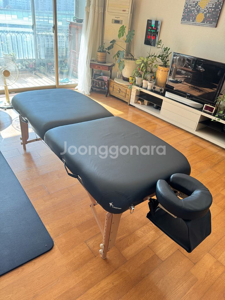 프리미엄 마사지 베드--0