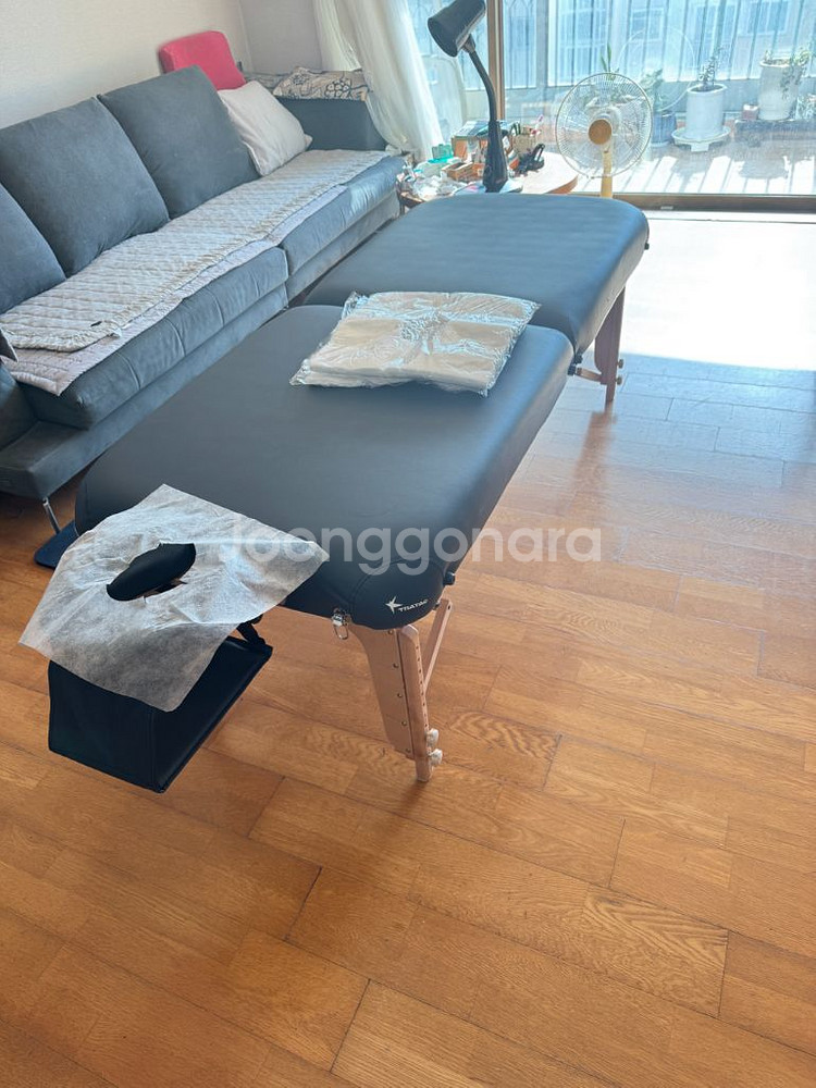 프리미엄 마사지 베드--5